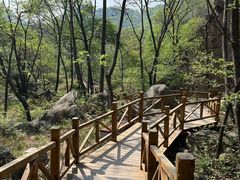 -大岭沟猕猴桃谷风景区