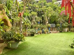 -呀路古热带植物园