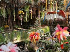 -正佳雨林生态植物园