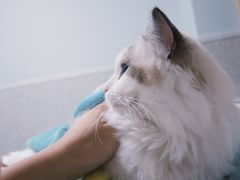 -谐和贝康宠物医院24小时·宠保定点(急重症转诊中心)