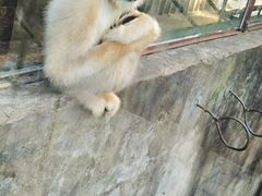 -昆明动物园