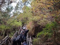 -汤旺河林海奇石景区