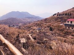 -崂山九水游览区