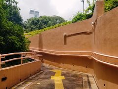 -九龙公园
