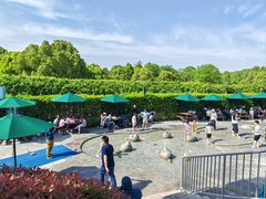 -季高兔窝窝亲子园(上海薰衣草公园店)