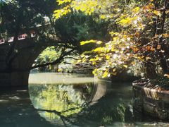 -上海醉白池公园