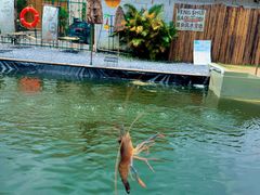 -DGE季风钓虾营地·团建·聚会