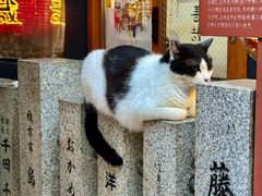 -道顿堀