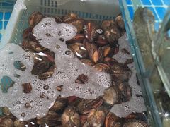 -和源祥·日照菜扛把子(万平口一店)