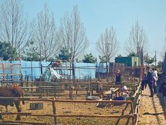 -瑞思少儿中心·少儿英语素养启蒙(勒泰直营校区)