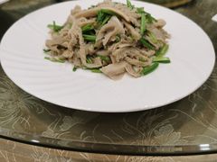 芫爆散丹-烤肉宛饭庄(北新桥店)