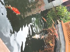-香麒园·过桥米线·南湖雅宴
