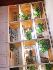 -一東造型烫发染发
