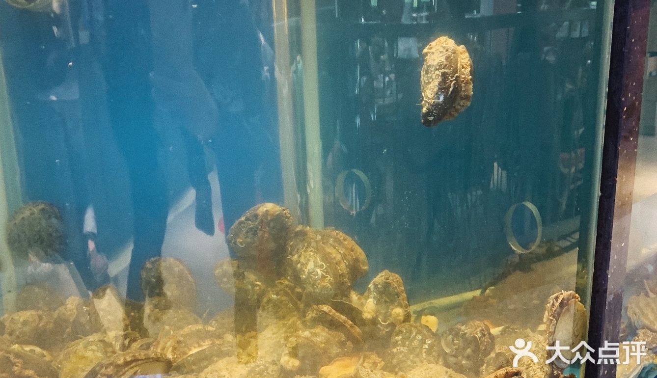 爱吃花胶鸡火锅的都跑来这里了