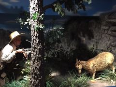 -陕西自然博物馆