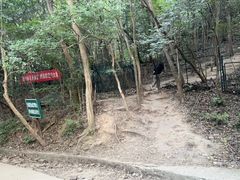 -紫金山山顶公园