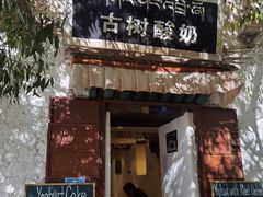 -古树酸奶(八廓南街店)