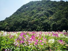 -广州市石门国家森林公园