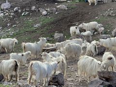 -迪卡侬(土桥店)