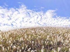 -萍乡武功山风景名胜区