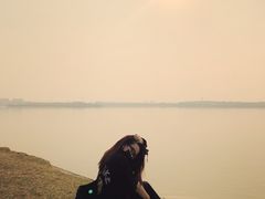 -丁香湖公园