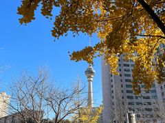 -中国人民解放军空军特色医学中心(空军总医院)