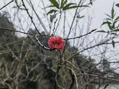 -常德桃花源景区