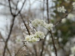 -郑和公园