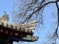 -西安博物院
