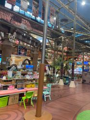 -卡通尼·Safari非洲探索乐园·生日会(金桥国际商业广场店)