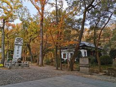 -灵谷景区