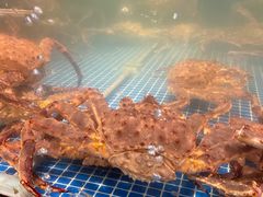 -东海怡品海鲜豆捞(星街坊店)