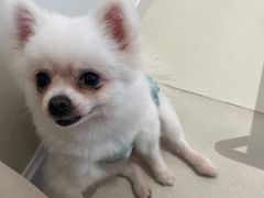 -怪兽屋·羊驼·猫咖·狗咖(俊华广场店)