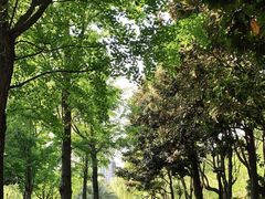 -苏州河梦清园环保主题公园