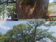 -新安江山水画廊风景区