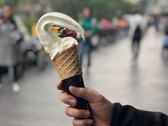 -蜜雪冰城(浙江大学店)