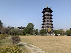 -洋湖国家湿地公园