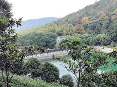 -九龙潭景区