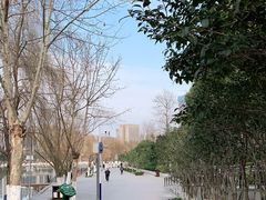 -滨湖塘西河公园
