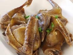-百利鸽王(紫薇路店)