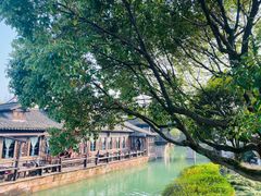 -乌镇西栅景区