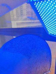 -碧莲盛·不剃发植发