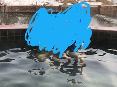 -龙达温泉生态城