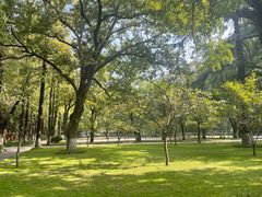 -苏州大学(天赐庄校区)