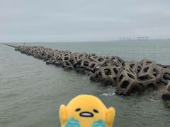 -东疆建设开发纪念公园