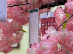 -学习谷日语培训日本留学·多语种外语教学(西单宣武分部)
