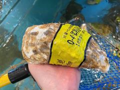 -怀德酒楼·粤菜·海鲜·茶点(宝安国际机场店)