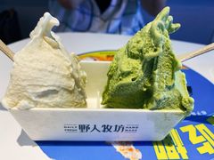 -野人牧坊Gelato(天津南开大悦城店)