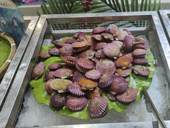 -集杰尚品海鲜烤肉自助餐厅(乳山振华店)