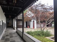 -苏州文庙(姑苏区)